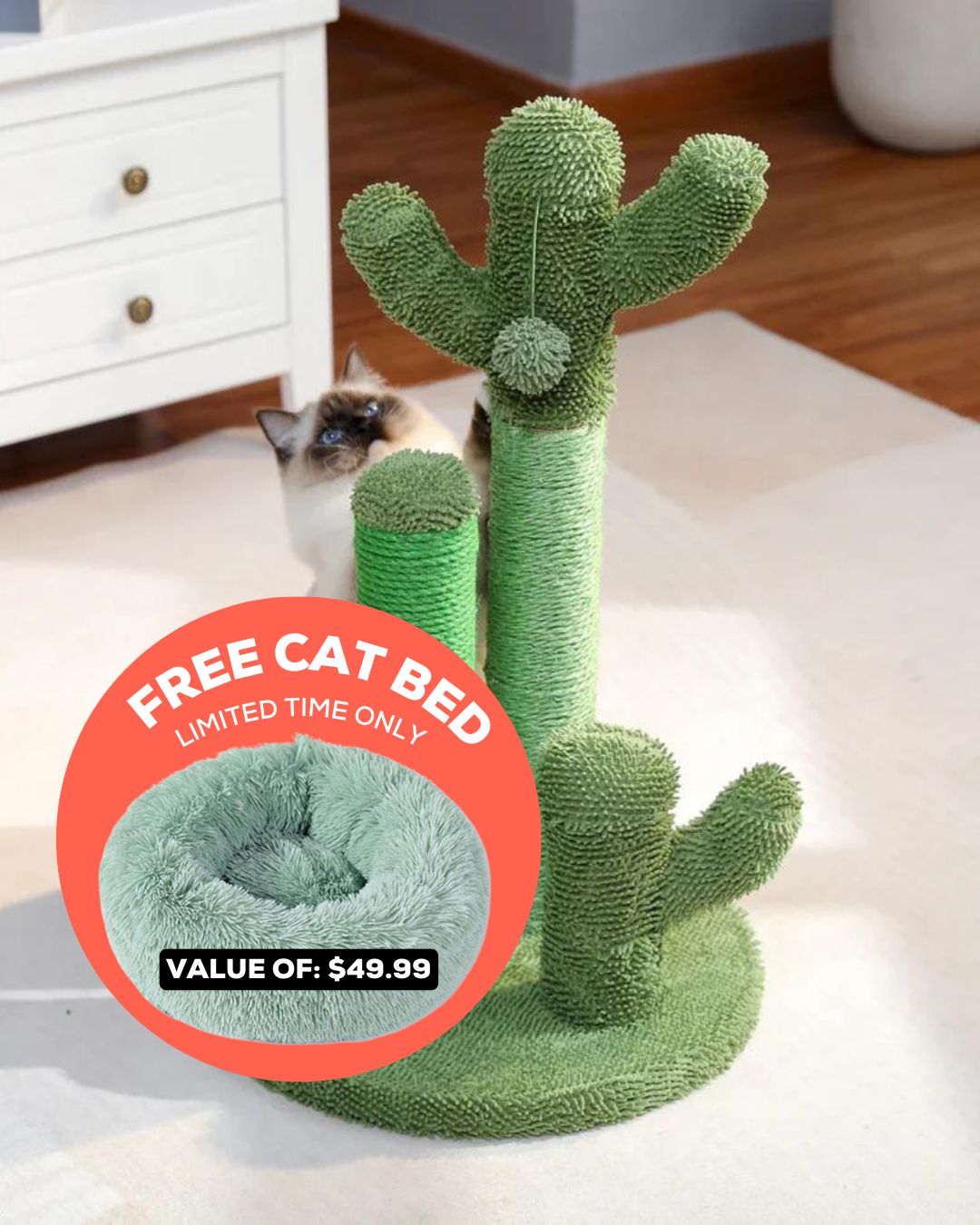 Cacti-Scratch™ + FREE CAT BED 🎁